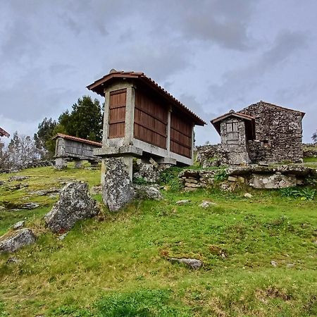 Вилла Casa Da Rosa Porreiras Паредиш-ди-Кора Экстерьер фото